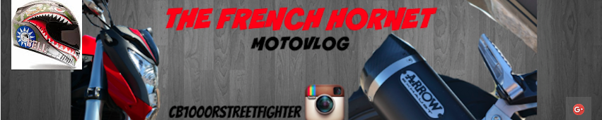 TheFrenchHornet