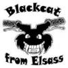 Blackcat From Elsass